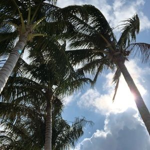 Meet your Posher, Corey